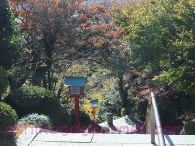 織姫神社3