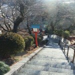 織姫神社H25正月20
