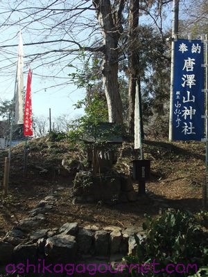 唐沢山神社14