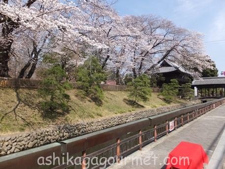 足利のお花見名所 足利グルメのブログ Ashikaga Gourmet