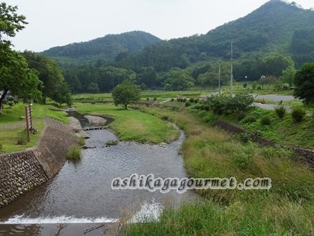 自然観察おすすめスポット２　～名草川　江保地橋下