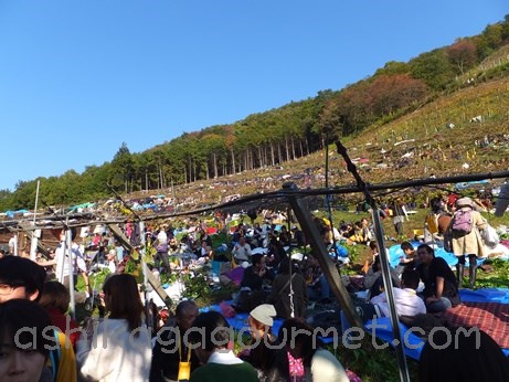 2013ココワイン収穫祭35