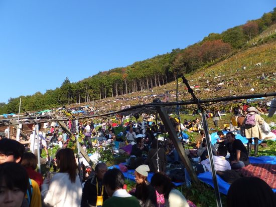 足利の2017年11月のイベント