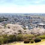 織姫公園からの眺望